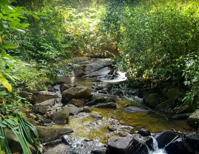 Rainbow Waterfall Sai Rung Pak Weep Khao Lak 2 768x597