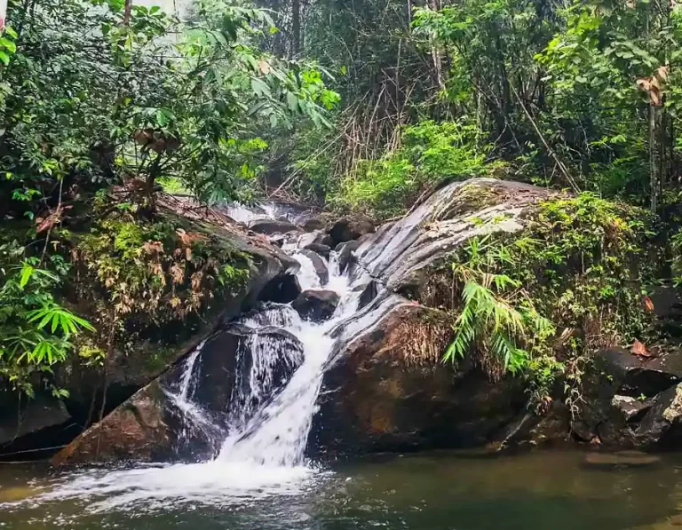 Ton Chongfa waterfall bang niang khao lak 3 768x597