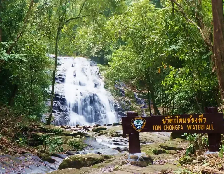 Ton Chongfa waterfall bang niang khao lak 4 768x597