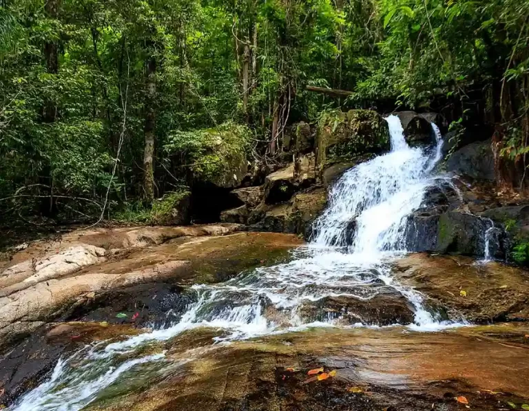Ton Chongfa waterfall bang niang khao lak 5 768x597