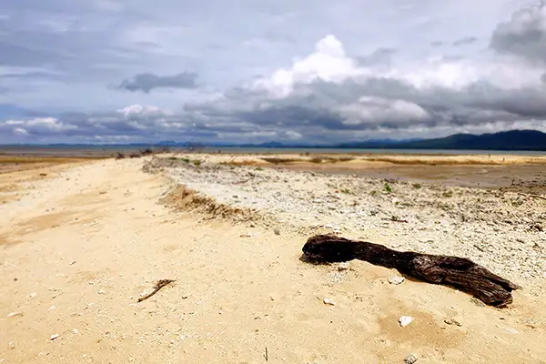 pakarang bleached coral beaches 600px