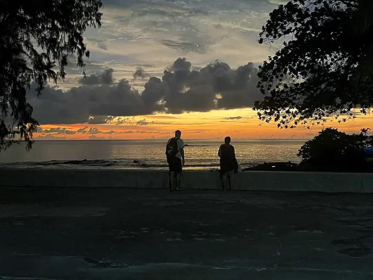 Alive Market sunset 768x576