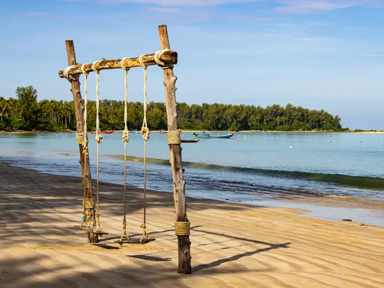 Coconut Beach Swing 768x576