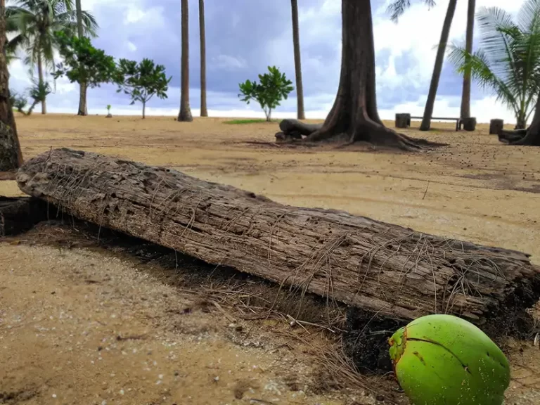 Khuk Khak Beach Shaded Place 768x576