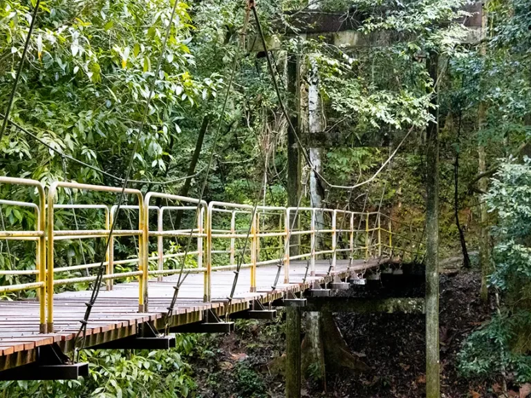 Lampi Waterfall Bridge 768x576