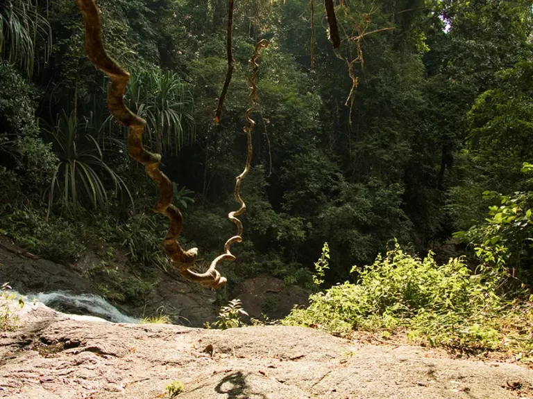 Lampi Waterfall Wild forest 768x576