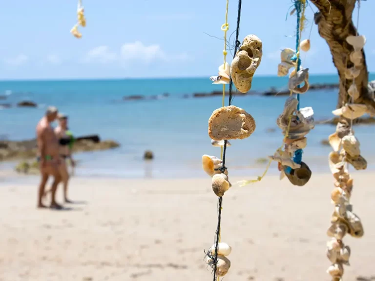 Nang Thong Beach Shells 1 768x576