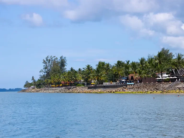 Bang Niang Beach Palm View 768x576