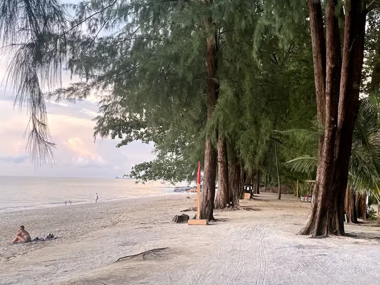 Pak Weep Beach Shady trees and shore 768x576
