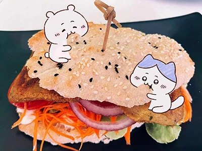 3 Falafels in Turkish Pide Bread