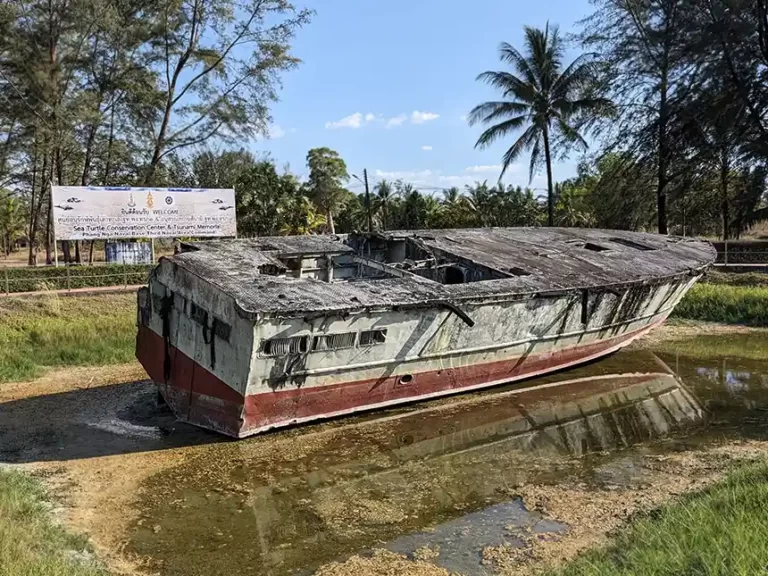Boat T 215 768x576 1