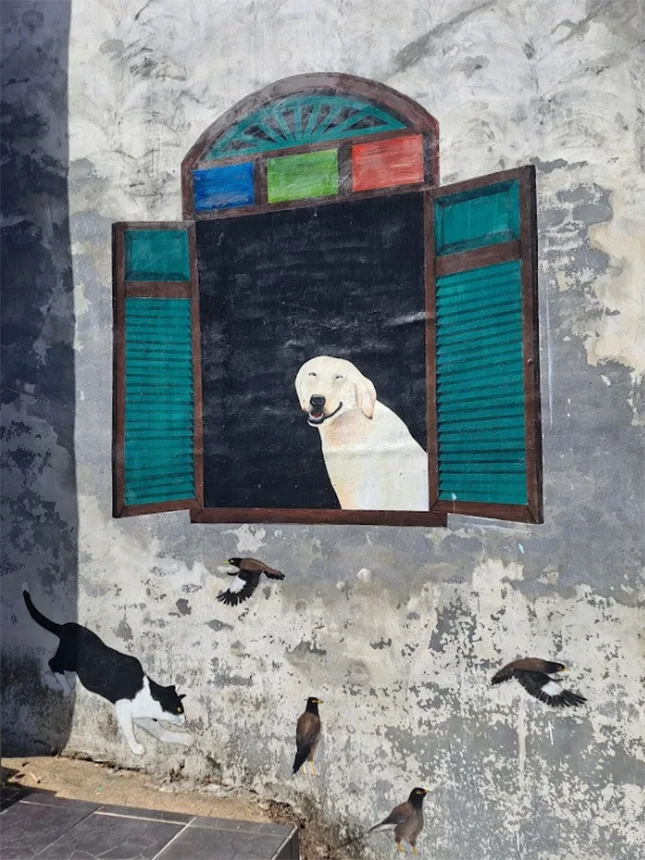 Takua Pa wall mural Dog smiling