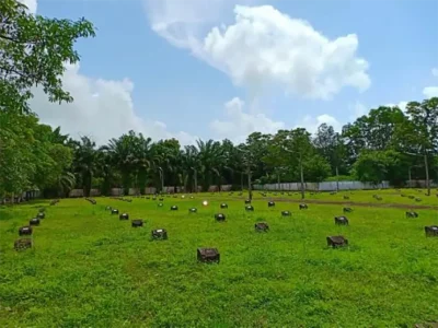Tsunami Victim Cemetery